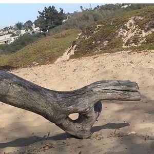 Meet your Posher, Leslee